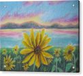 Setting Sunflower - Acrylic Print Online Sale