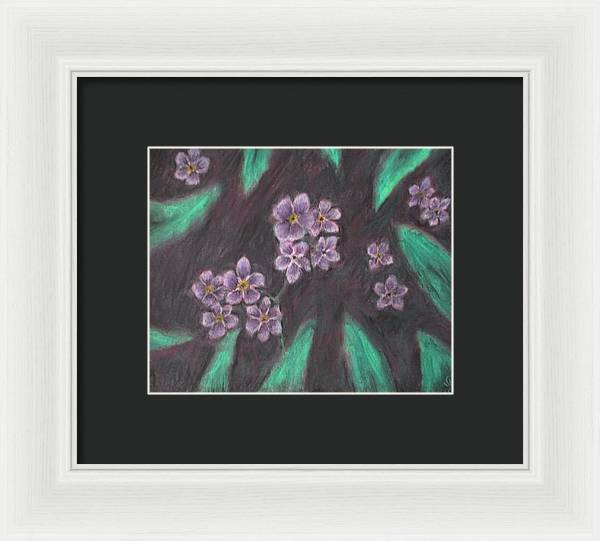 Forget Me Not - Framed Print Online now