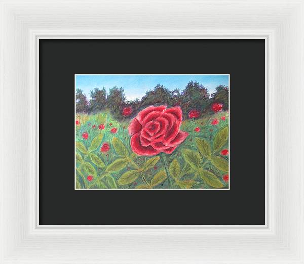 Field of Roses - Framed Print For Sale