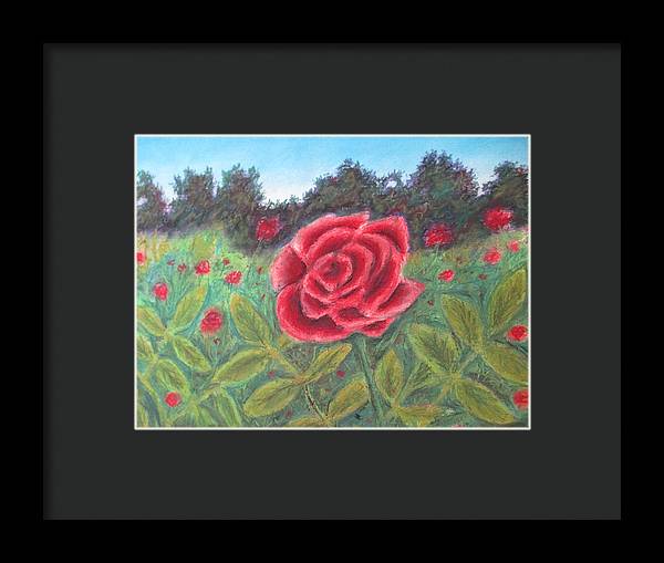 Field of Roses - Framed Print For Sale