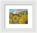 Sunflower Hue - Framed Print Online now