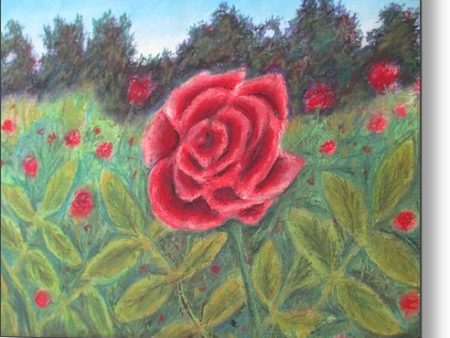 Field of Roses - Metal Print For Sale