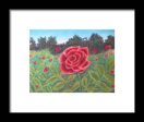 Field of Roses - Framed Print For Sale