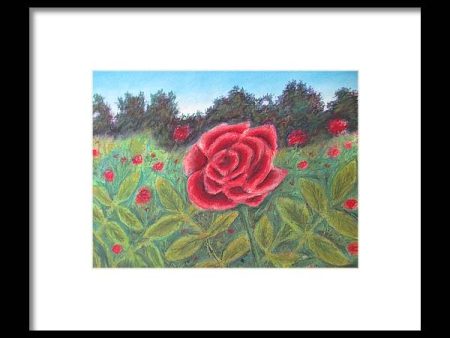 Field of Roses - Framed Print For Sale