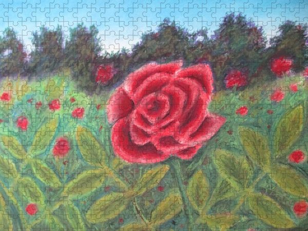 Field of Roses - Puzzle Online Hot Sale