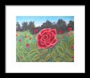 Field of Roses - Framed Print For Sale