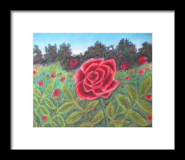 Field of Roses - Framed Print For Sale