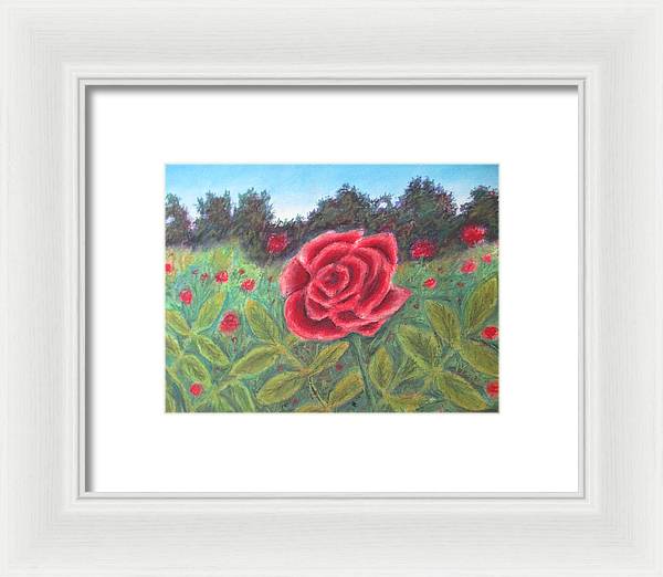 Field of Roses - Framed Print For Sale