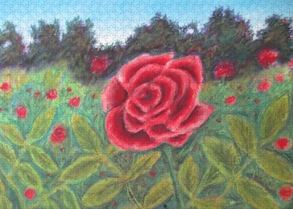 Field of Roses - Puzzle Online Hot Sale