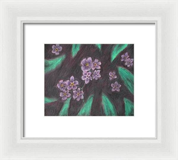 Forget Me Not - Framed Print Online now