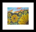 Sunflower Hue - Framed Print Online now