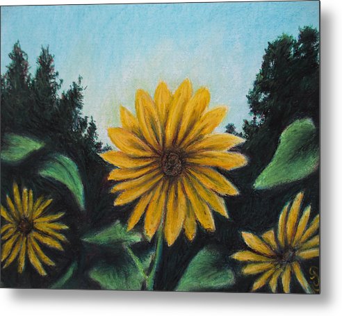 Flower of Sun - Metal Print Fashion