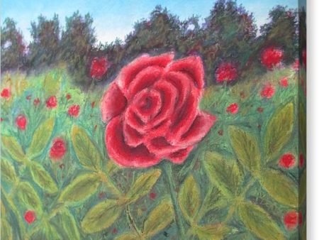 Field of Roses - Canvas Print Supply