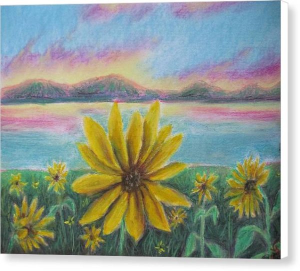 Setting Sunflower - Canvas Print Discount