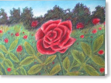 Field of Roses - Greeting Card Online Sale