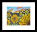 Sunflower Hue - Framed Print Online now