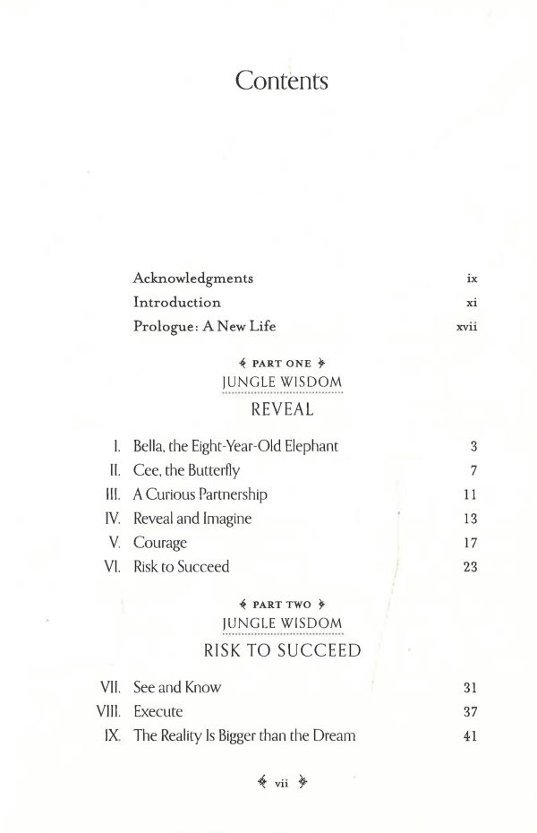 Risk To Succeed: Essential Lessons For Discovering on Sale