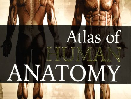 Atlas Of Human Anatomy Hot on Sale