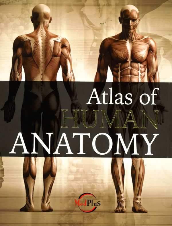 Atlas Of Human Anatomy Hot on Sale